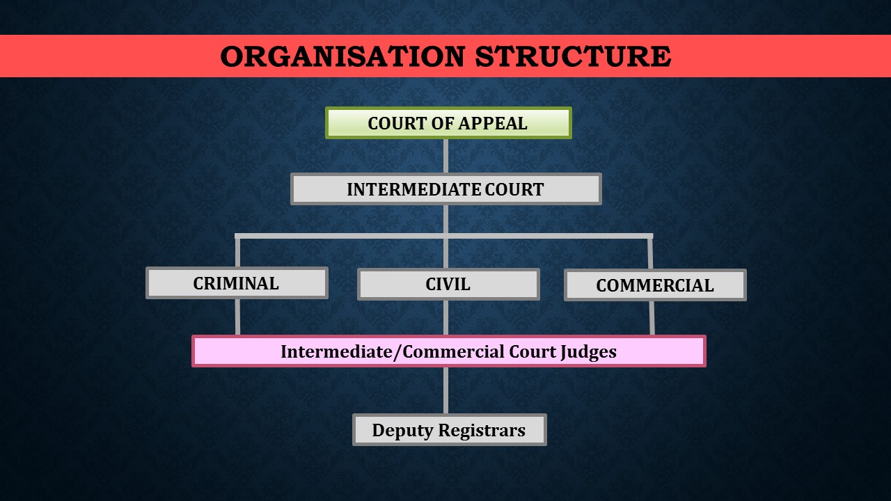 Organisation Structure.jpg